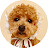 @snacksfordogs