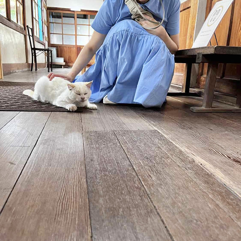 息継ぎどこ!?チャンネル