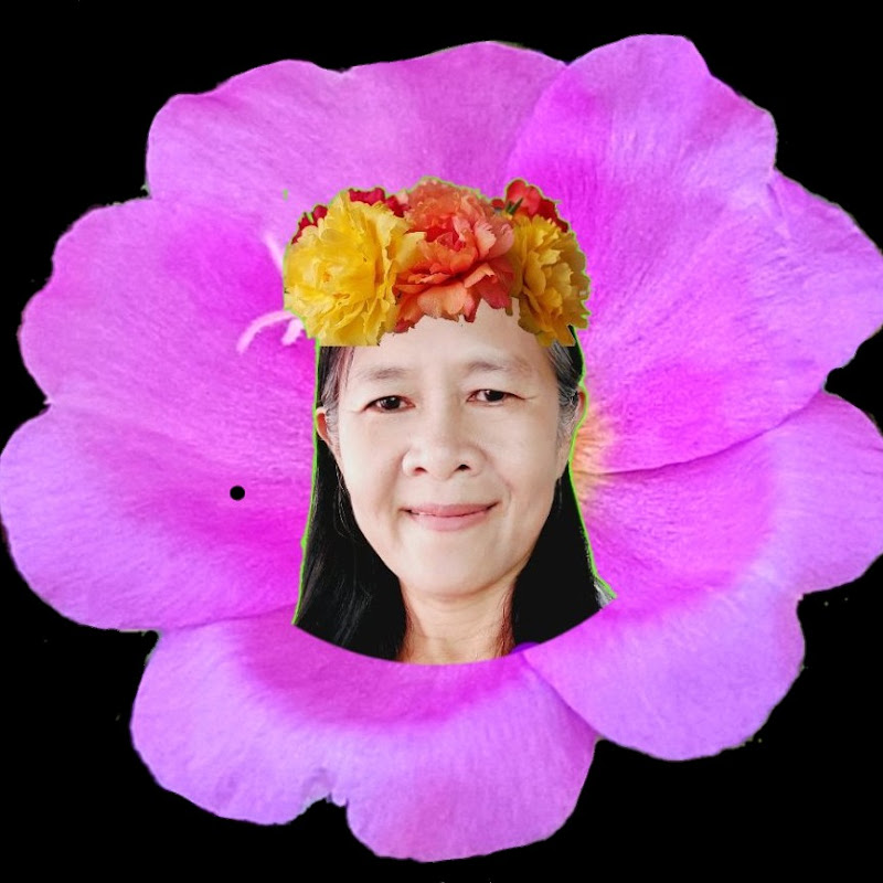 คุณนายไอเดีย