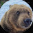 @Im_just_a_Bear01