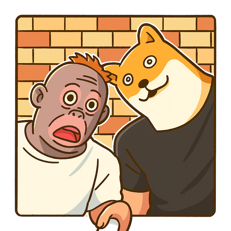 アニレク | 猿と犬の楽しい遊び場