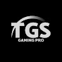 Hire TGS GAMING PRO — Gaming News & Commentary YouTube creator for sponsorships