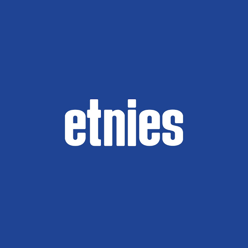 etnies icon