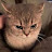 @heartbeat77-w8m