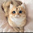 @Roqa794