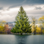 Calm And Peace