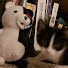 a2afjmur-WQ-channel-avatar-Kyler 360