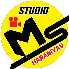 MS STUDIO HARNIYAV