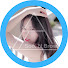 kA1YKSWELd8-channel-avatar-건대눈썹문신 반영구수강   순브로우