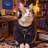 qNYXEAEUV6g-channel-avatar-El GATO GAMER