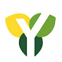 Yield Innovations logo