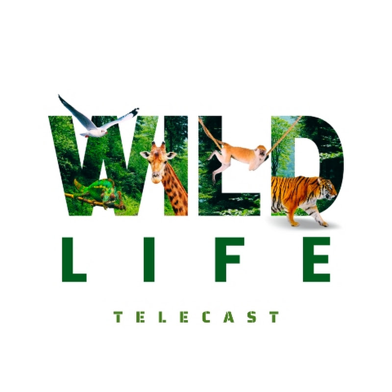 Wildlife Telecast