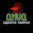 jy2DPE_HExA-channel-avatar-Aquatic Canvas