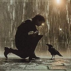 Mohammad Rabeh avatar