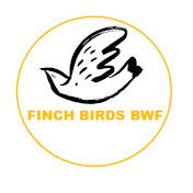 Finch Birds BWF
