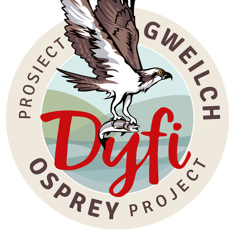 Dyfi Osprey Project logo