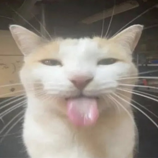 チャンネル画像