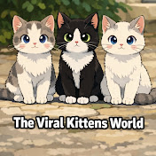  Viral Kittens World 