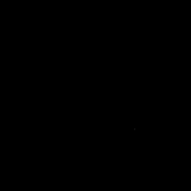 SS010