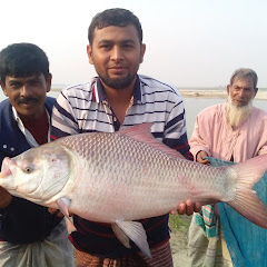 I LOVE FISHING BD