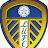 Leeds united Fan
