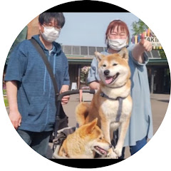 愉快な主婦ゆみと柴犬ちゃんネル