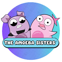 Amoeba Sisters net worth
