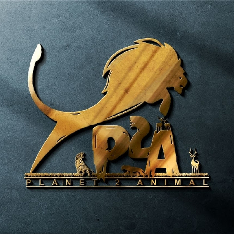 Planet 2 Animal