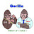 @gorillarealty6458