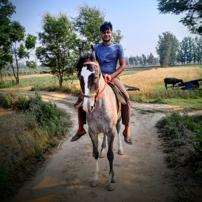 Hire Tarun Tyagi — Small Business Management YouTube creator for sponsorships