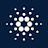 CARDANO CEO | NEWS