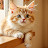 @Animal-q8t