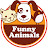 @FunnyAnimals.Collection