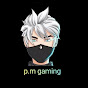 P.M GAMING official logo