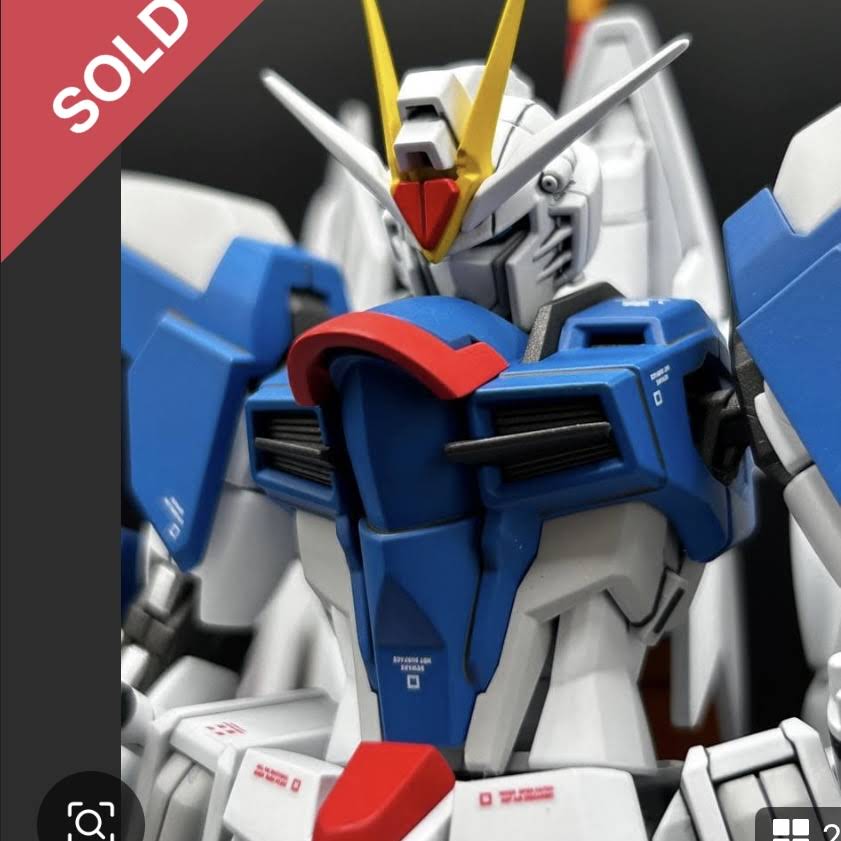 【１点限定】HG マイティーライジングフリーダムガンダム全塗装完成品 YouTube
