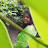 @pushonsarker