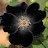 @روححره-ي3غ