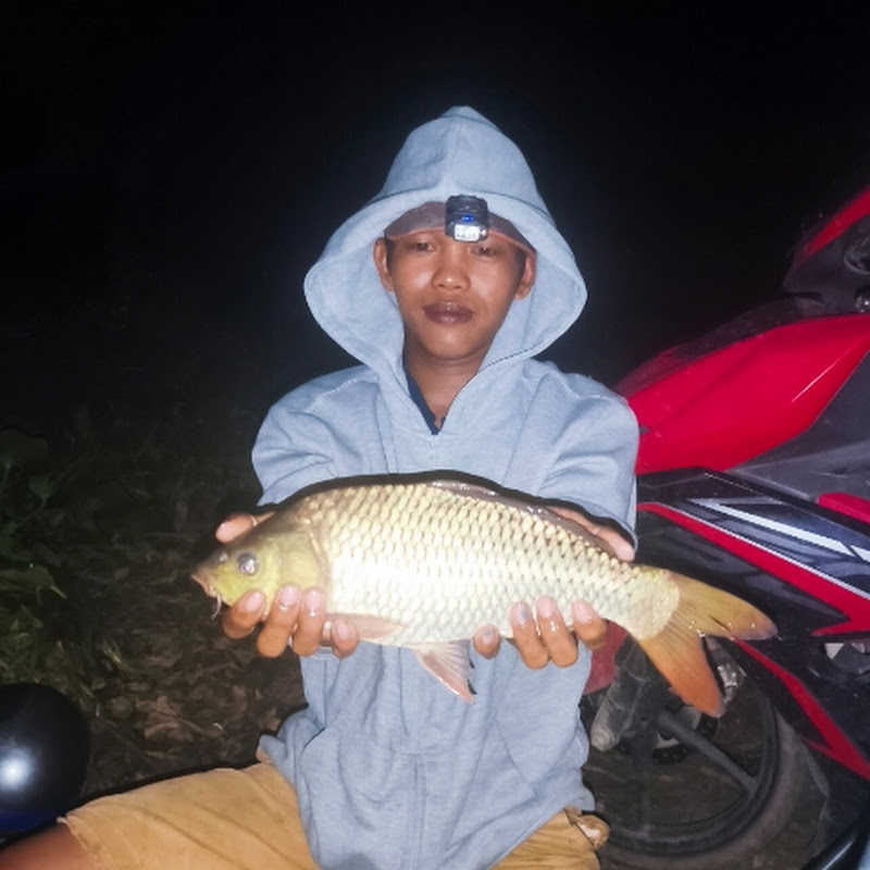 Long Câu Đài Shop