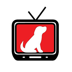 Thumbnail of related channel