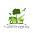 alnSwEEow0c-channel-avatar-A Wildlife Odyssey