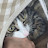@meow20211O