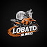 7Qzi6KNdjpo-channel-avatar-Lobato En Moto
