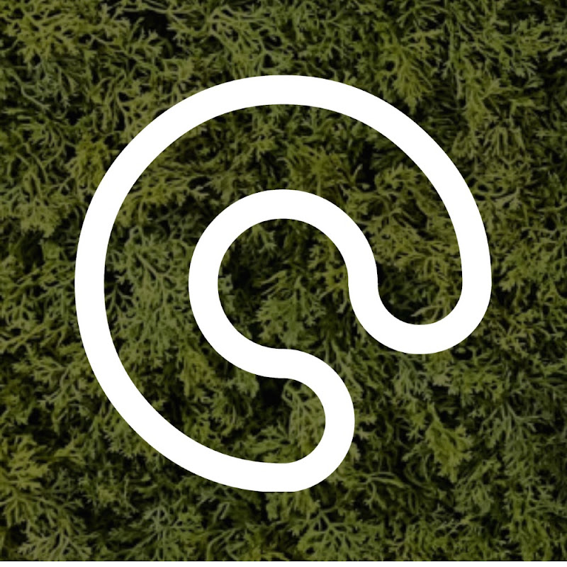 DigitalGuest