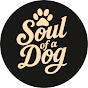 Soul of a Horse logo
