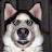 @GeorgeM9595 Avatar