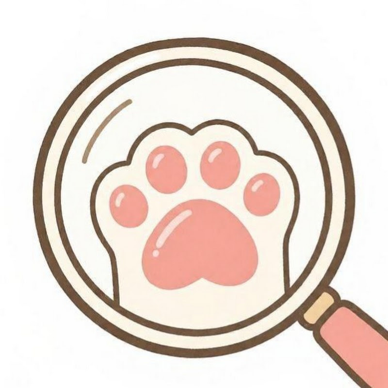 야참시 avatar