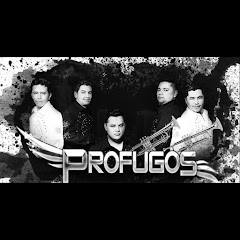 Profugos De Chicago - Topic