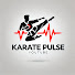 hckeSV_KG1Y-channel-avatar-Karate Pulse