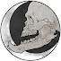 U1E1nYB3fSs-channel-avatar-BearJaw