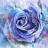 hJmBlowoeiA-channel-avatar-Crista
